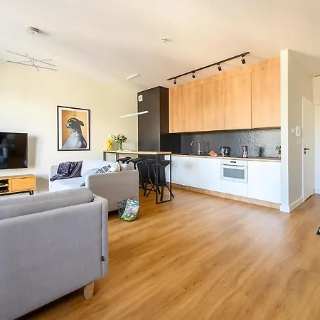 Luxe, Przestronny, W Centrum Apartmán Lodž