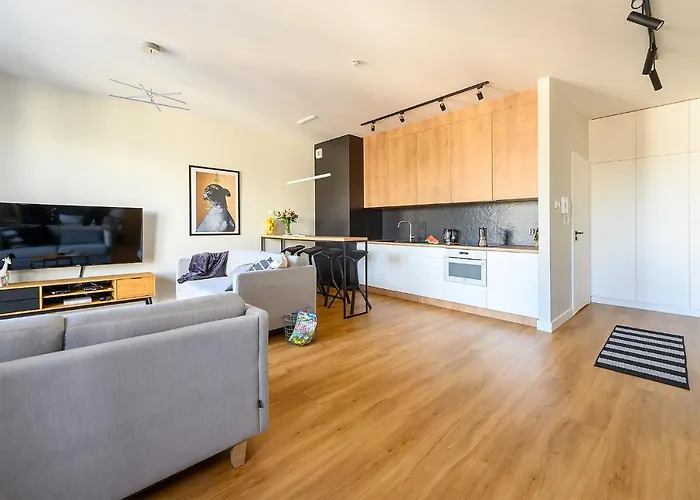 Luxe, Przestronny, W Centrum Apartamento Łódź