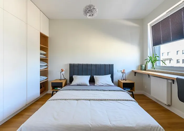 Luxe, Przestronny, W Centrum Apartmán Lodž